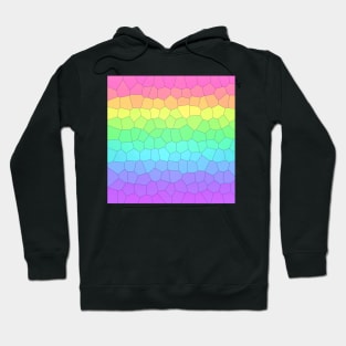 Rainbow Dragon Scales Hoodie